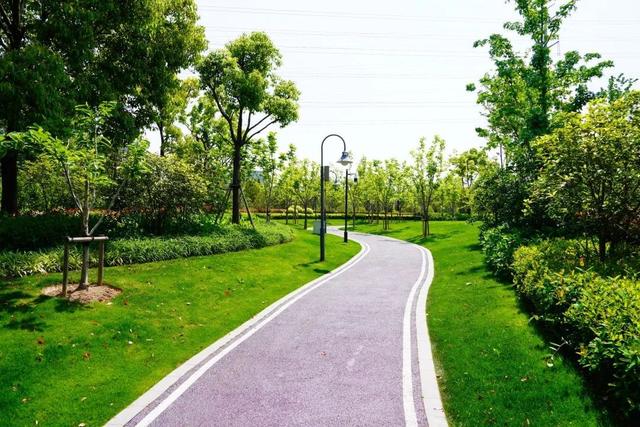 从社区绿地破茧而出的永和公园