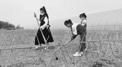     市民带孩子在认种的“一分田”里劳动。图源：牡丹晚报速新闻