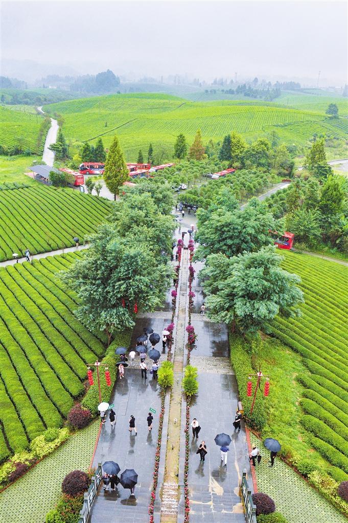 湄潭茶海景区.通讯员 乔启明 摄