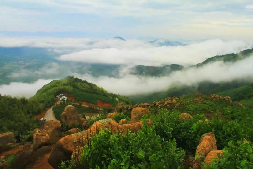 广德市云景牛山