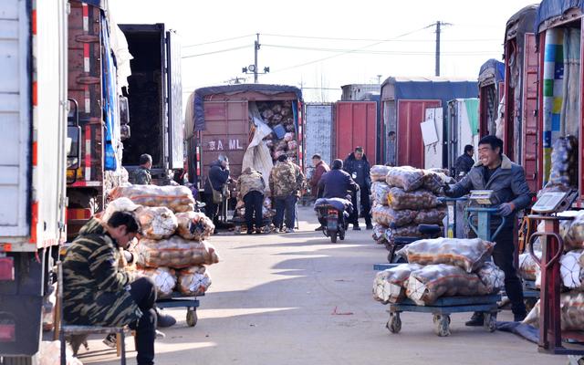 新发地市场整体供应充足,周转二区的交易通道两侧塞满了装着货物的