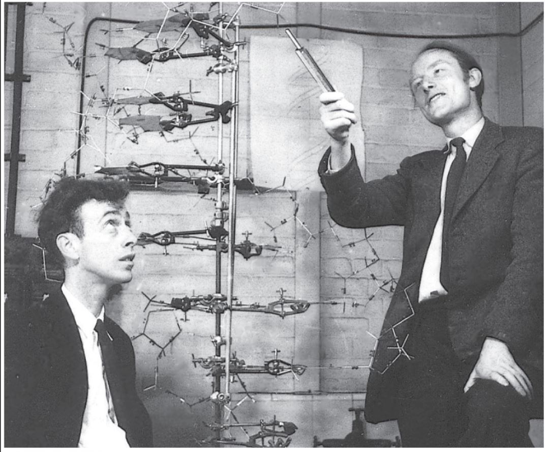 1953年,美国科学家沃森(左)和英国科学家克里克(右)提出了dna双慢旋