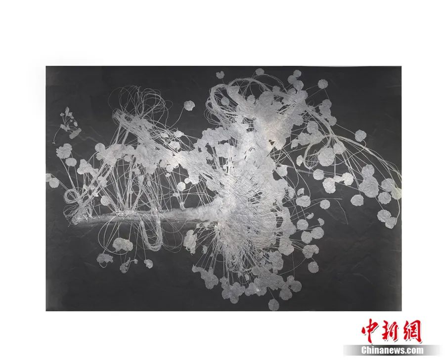 展出的目前已知自然产出面积最大的海百合化石——关岭创孔海百合化石