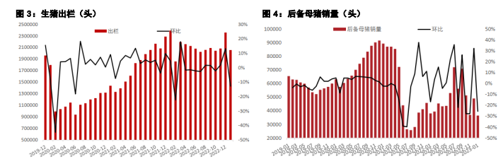 关联品种鲜鸡蛋生猪棕榈油菜籽油所属公司：五矿期货