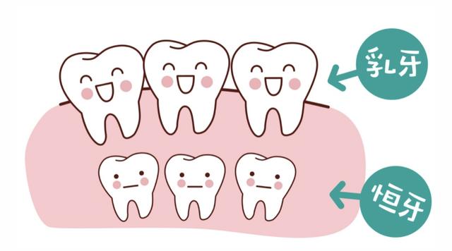 儿童换牙那些事儿