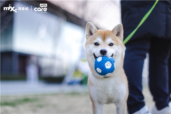 　　(来源：新视线)