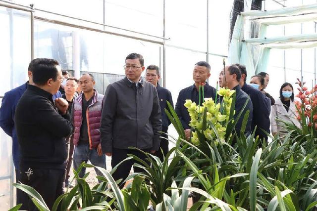 嵩明县委书记李进波率队到嵩明县杨林镇马坊社区金杨冷库,杨桥街道黑