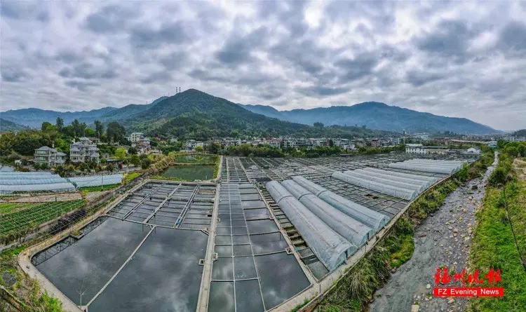 闽侯:以精细气象服务呵护金鱼养殖|气象局_新浪财经_新浪网