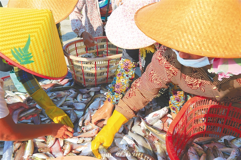 海南渔民冒图片