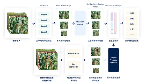 　　智能技术检测农作物病虫害示意图