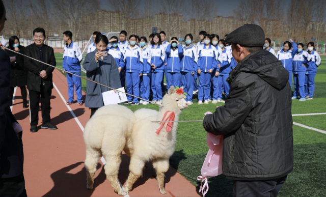 北京一零一中大兴分校高中部举办慧学慧玩学科综合竞技活动