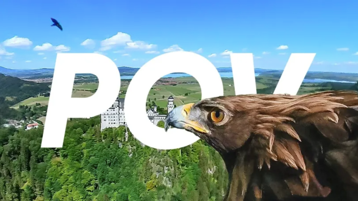 影石Insta360的最新老鹰视角全景视频截图