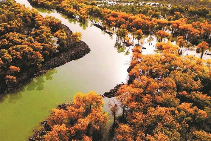 鸟瞰塔里木河流域风光(资料图片).官跃志 摄