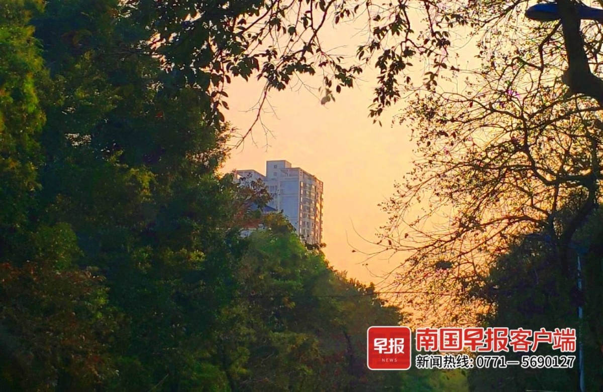 2月27日,南宁市区天气晴好,阳光明媚.