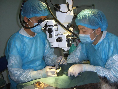 　　(一场具有挑战性的高难度手术进行中。左一为王立)