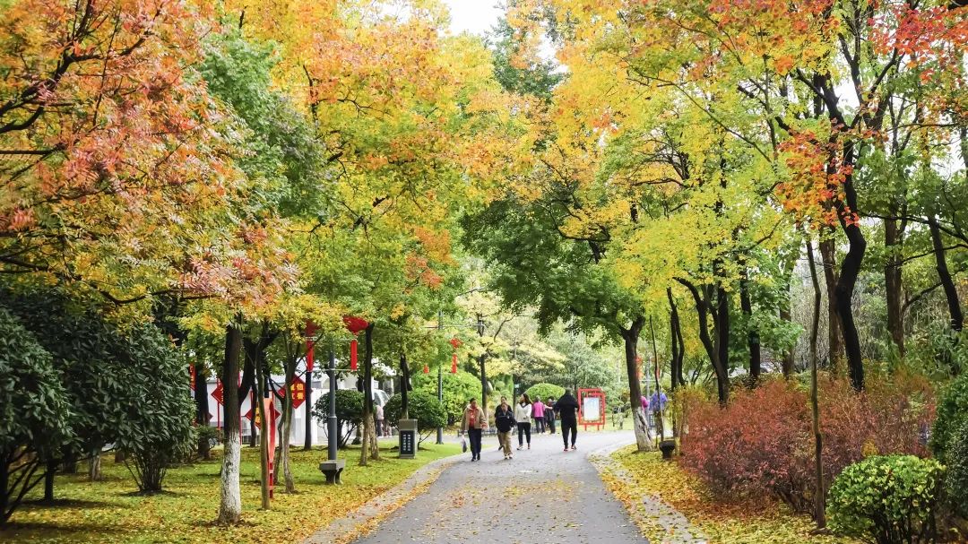 连云港苍梧绿园