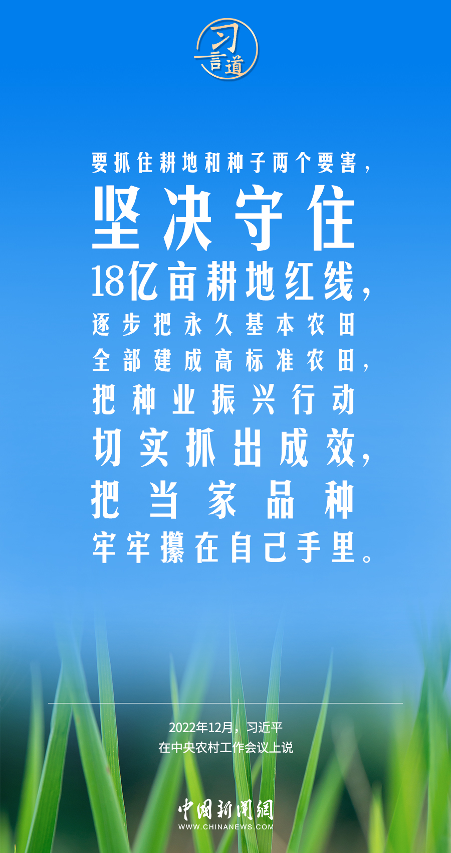 习言道粮食安全是国之大者