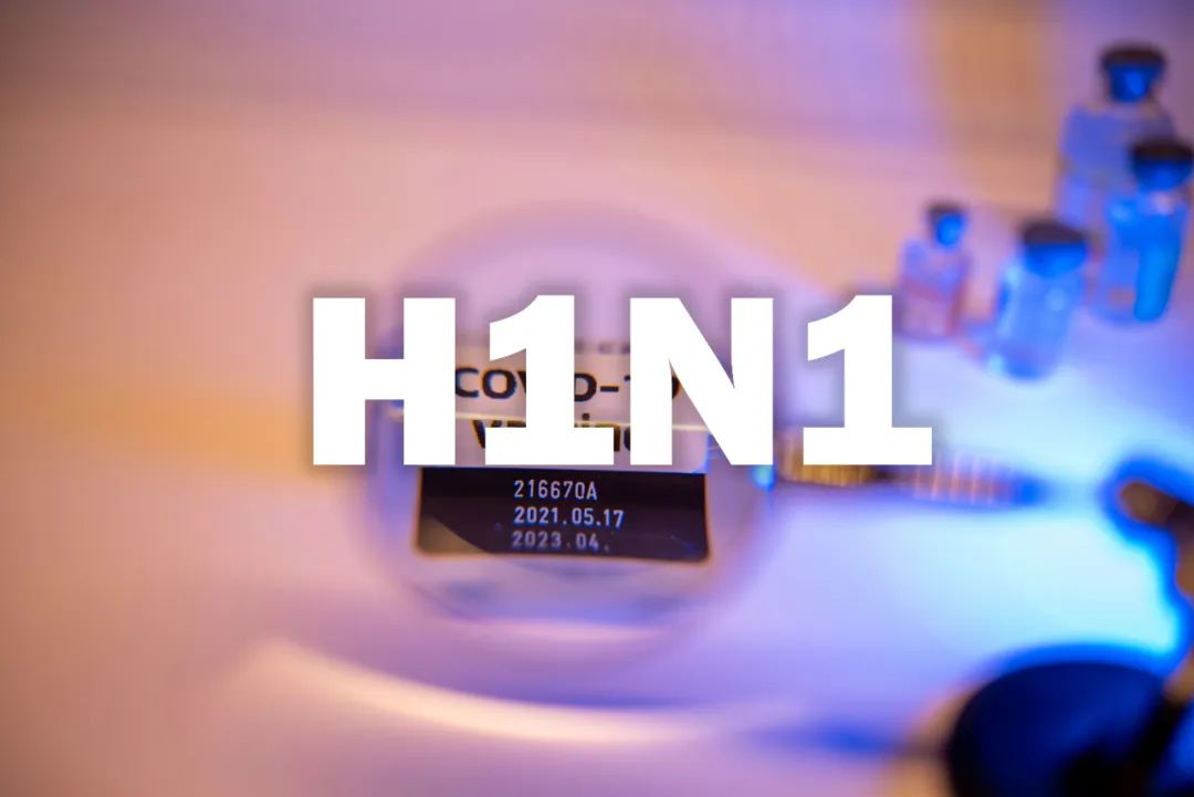 H1N1  ͼ/ͼ洴