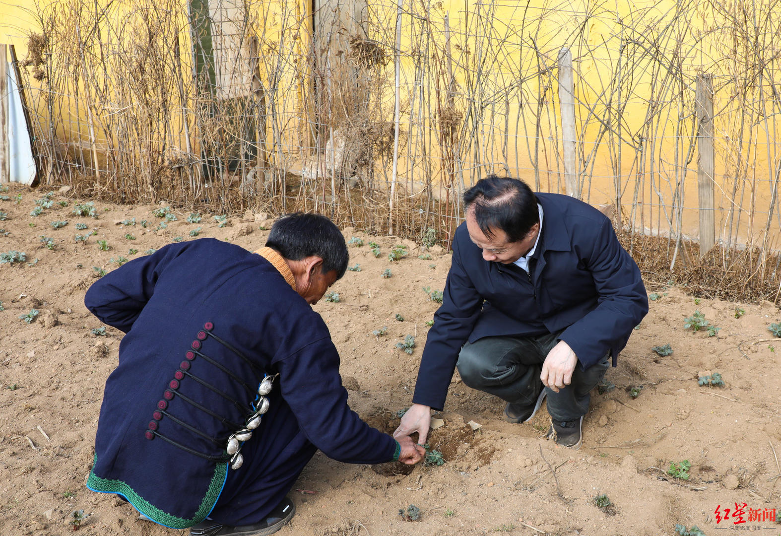 ↑耿福能向村民讲解种植技术