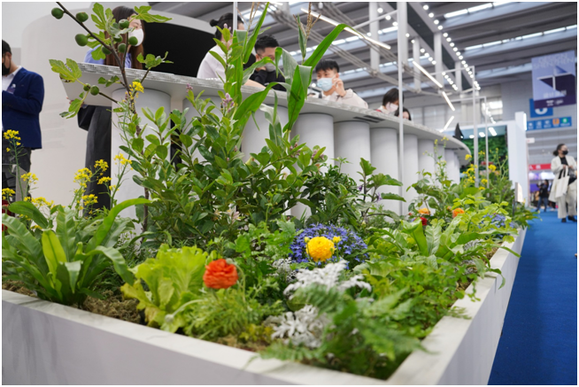 “协生农法TM（SynecocultureTM）”展示区