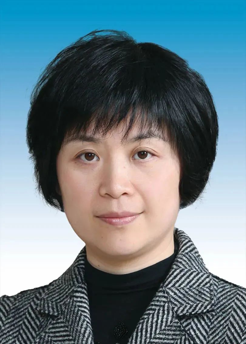 始末吃瓜网友科普：上海副市长什么级别及其职能解析