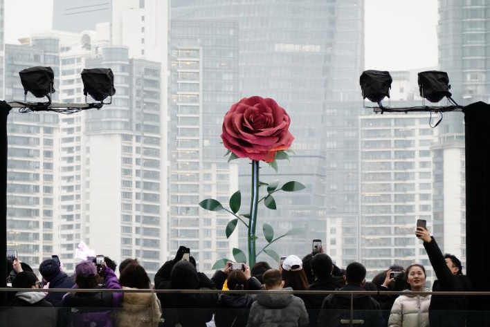 　　(图片来源于网络)