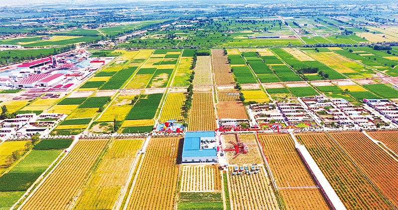 图为石嘴山市惠农区红果子镇马家湾村俯拍图.