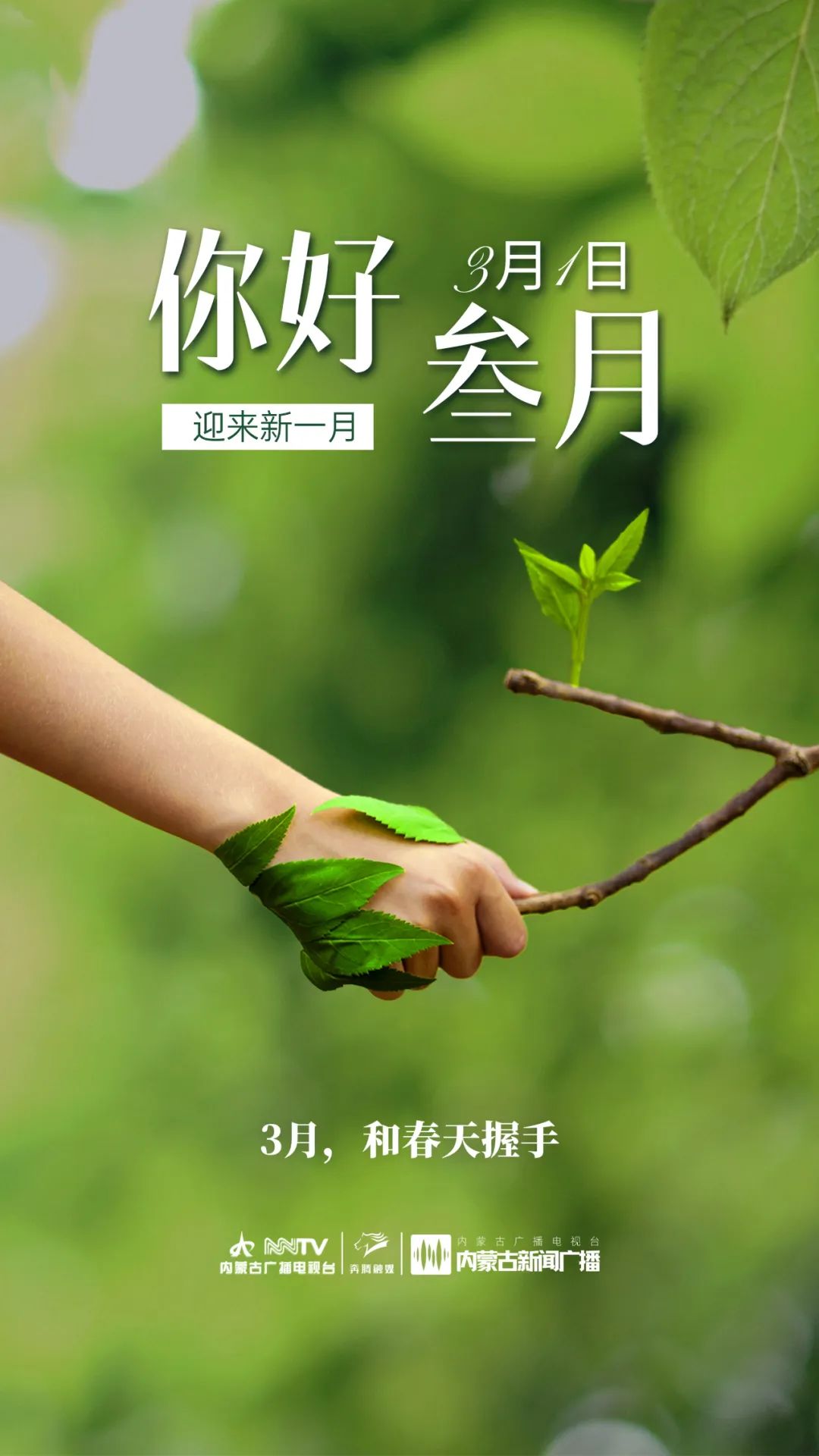 你好三月丨与春天相拥_新浪财经_新浪网