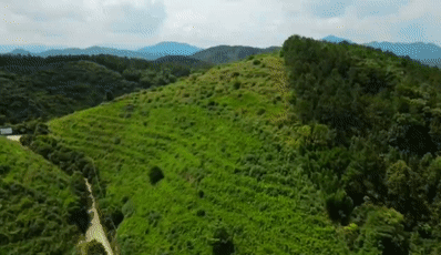 △图源 高要发布