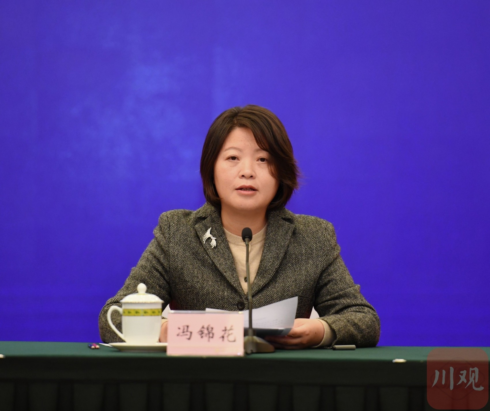 冯锦花透露,接下来,四川将从农产品加工提质增效,农业装备水平的提升