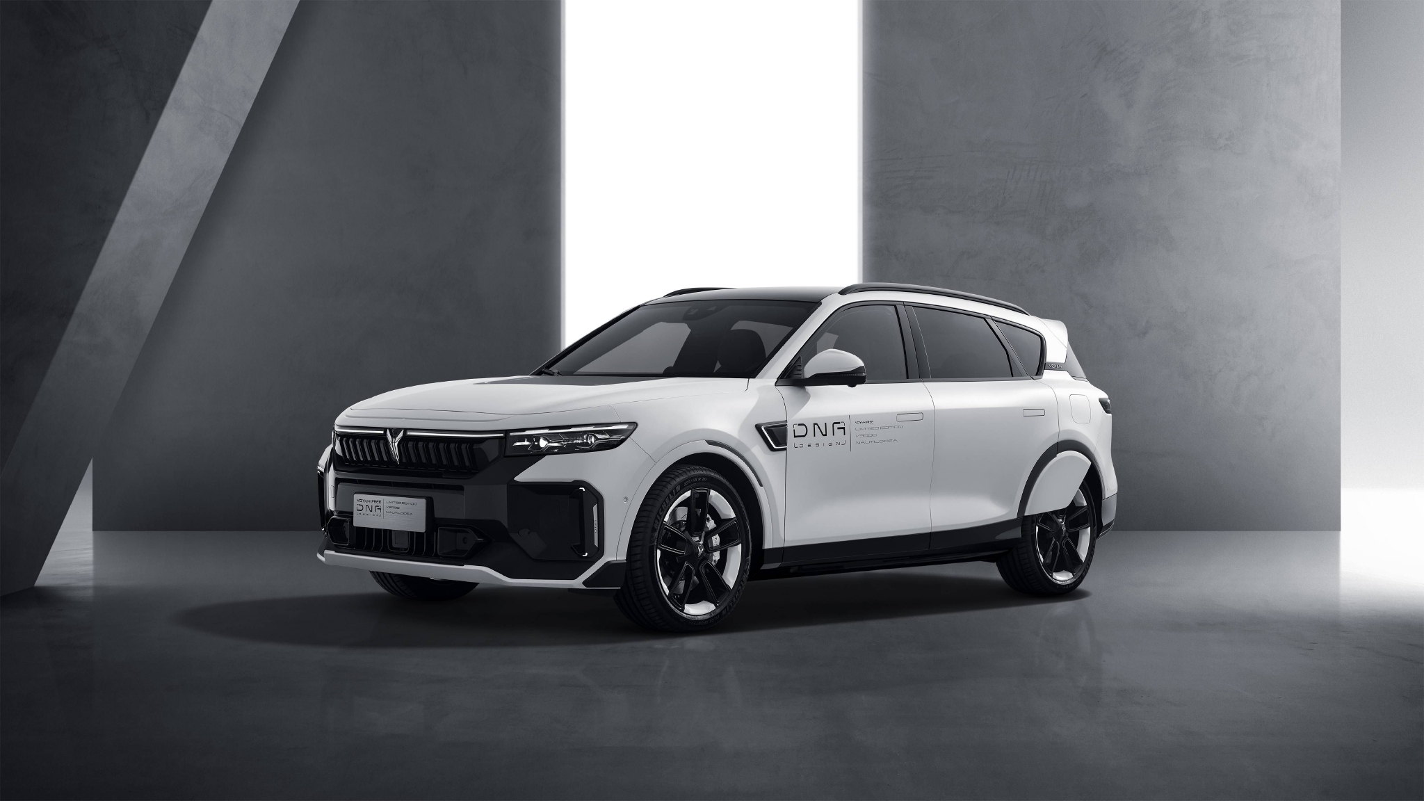 　　岚图FREE DNA定制版