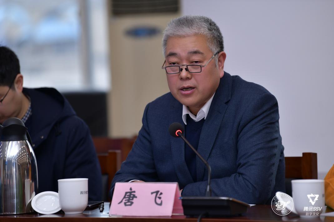 四川省文物考古研究院院长唐飞四川省文物考古研究院