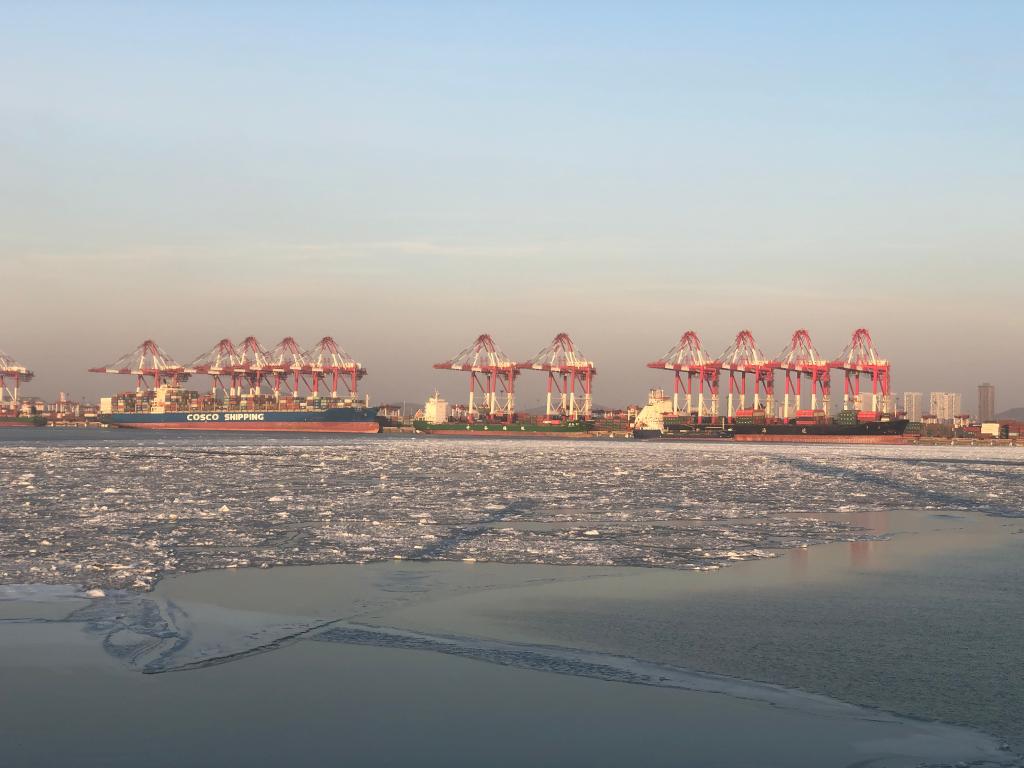 营口港集装箱码头繁忙场景.(新华社记者邹明仲摄)