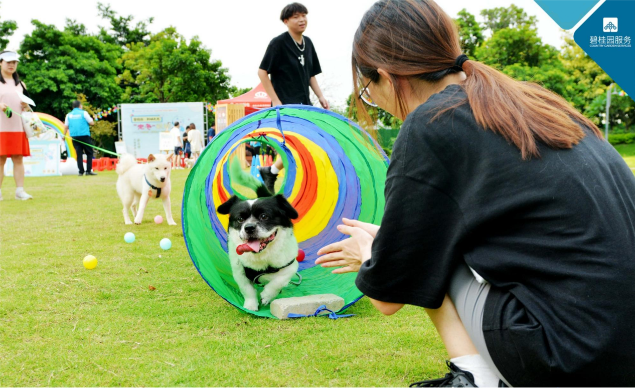 　　第二届客户体验创新节一等奖方案《“宠宠”欲动》