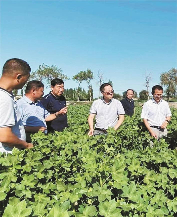 ģͷųԱͷϸ˽޻ܻ豸ӦͼƬ  ṩ