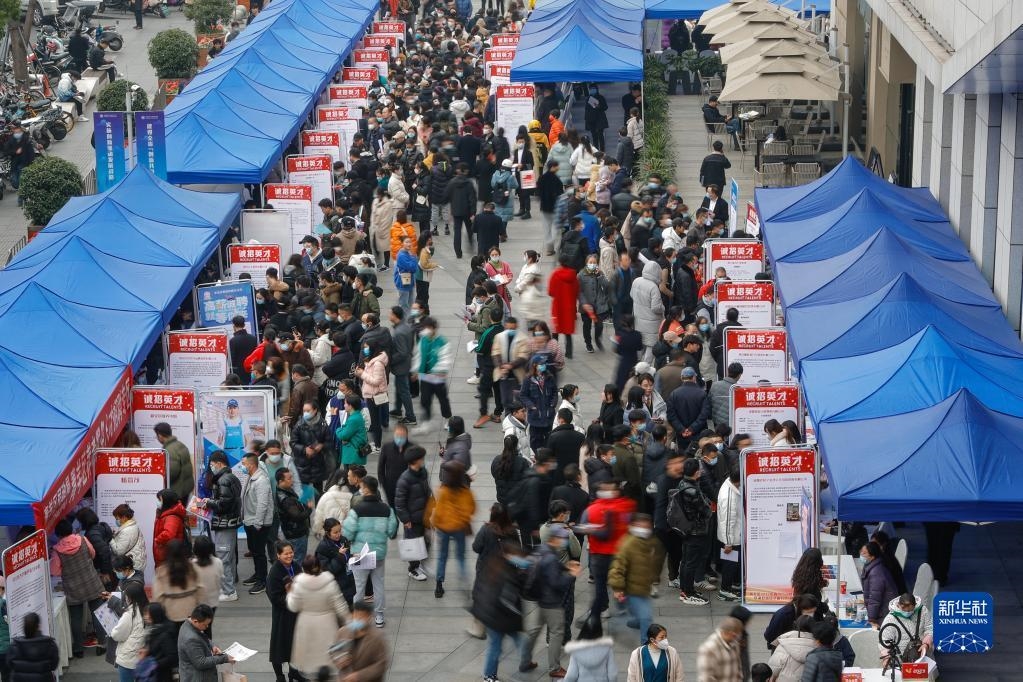 人们在中国成都人力资源服务产业园查看招聘信息，寻找工作机会（2月17日摄）。新华社记者 沈伯韩 摄