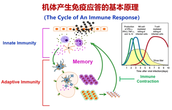 　　△夏建川教授学术分享