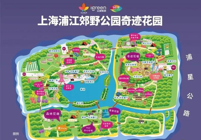 浦江郊野公园2万m05的"奇迹花毯"即将铺开,沪上春日打卡点等你来