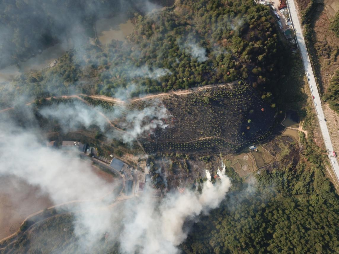 清远3起森林火灾案例警示|山火_新浪财经_新浪网