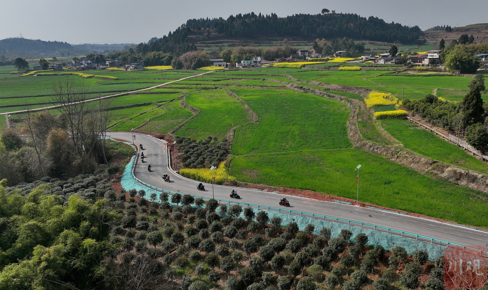 c视频丨眉山仁寿:百条乡村公路换新颜 助力乡村振兴|眉山市_新浪财经