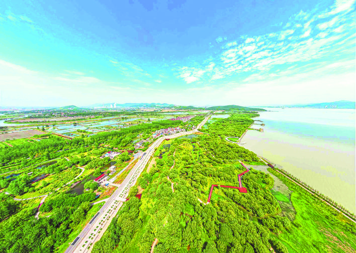 巢湖市柘皋河省级湿地公园.记者 赵瑞瑞 通讯员 桑玲 摄