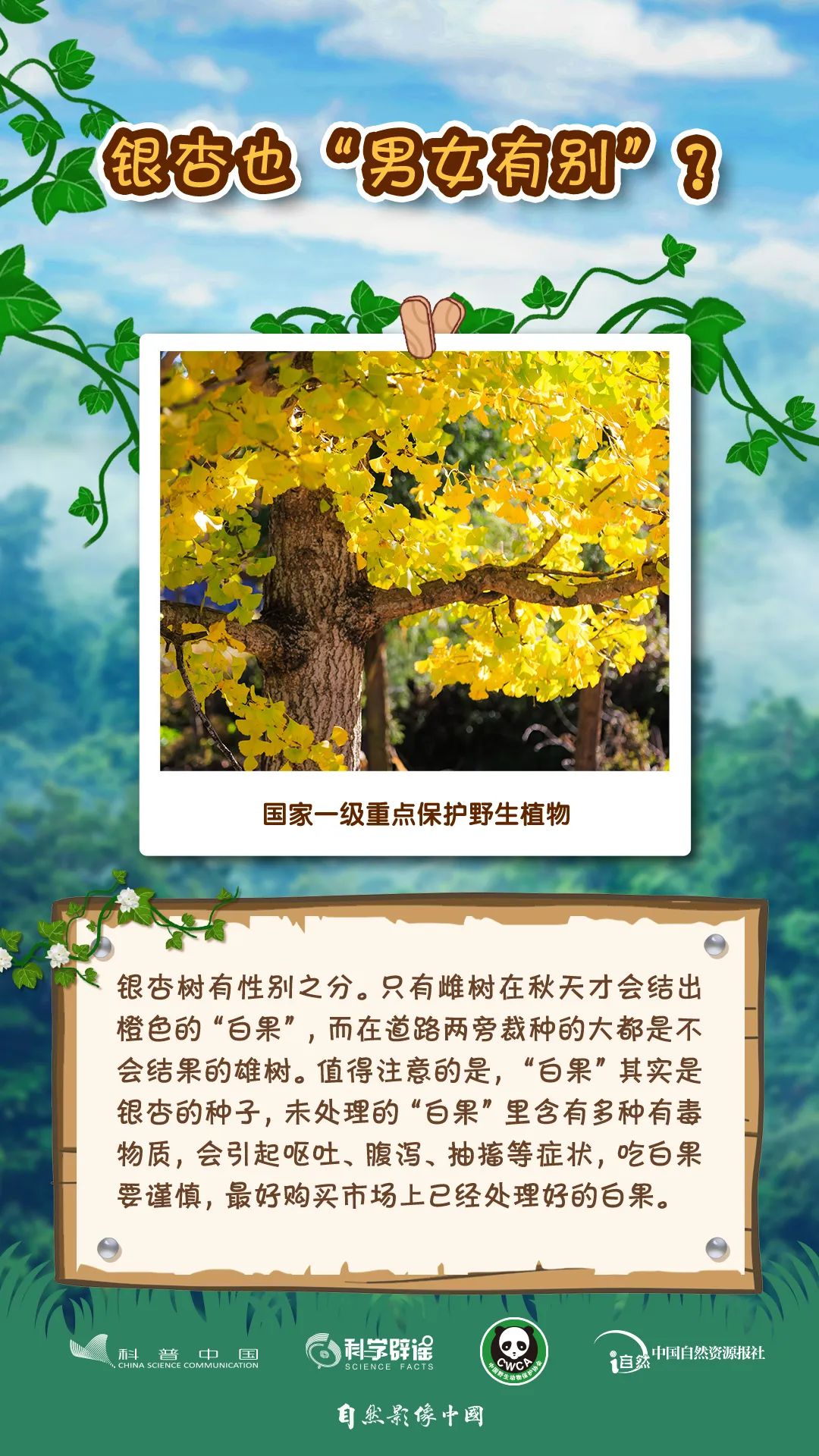 ta们有很多的小秘密,你知道多少?丨世界野生动植物日