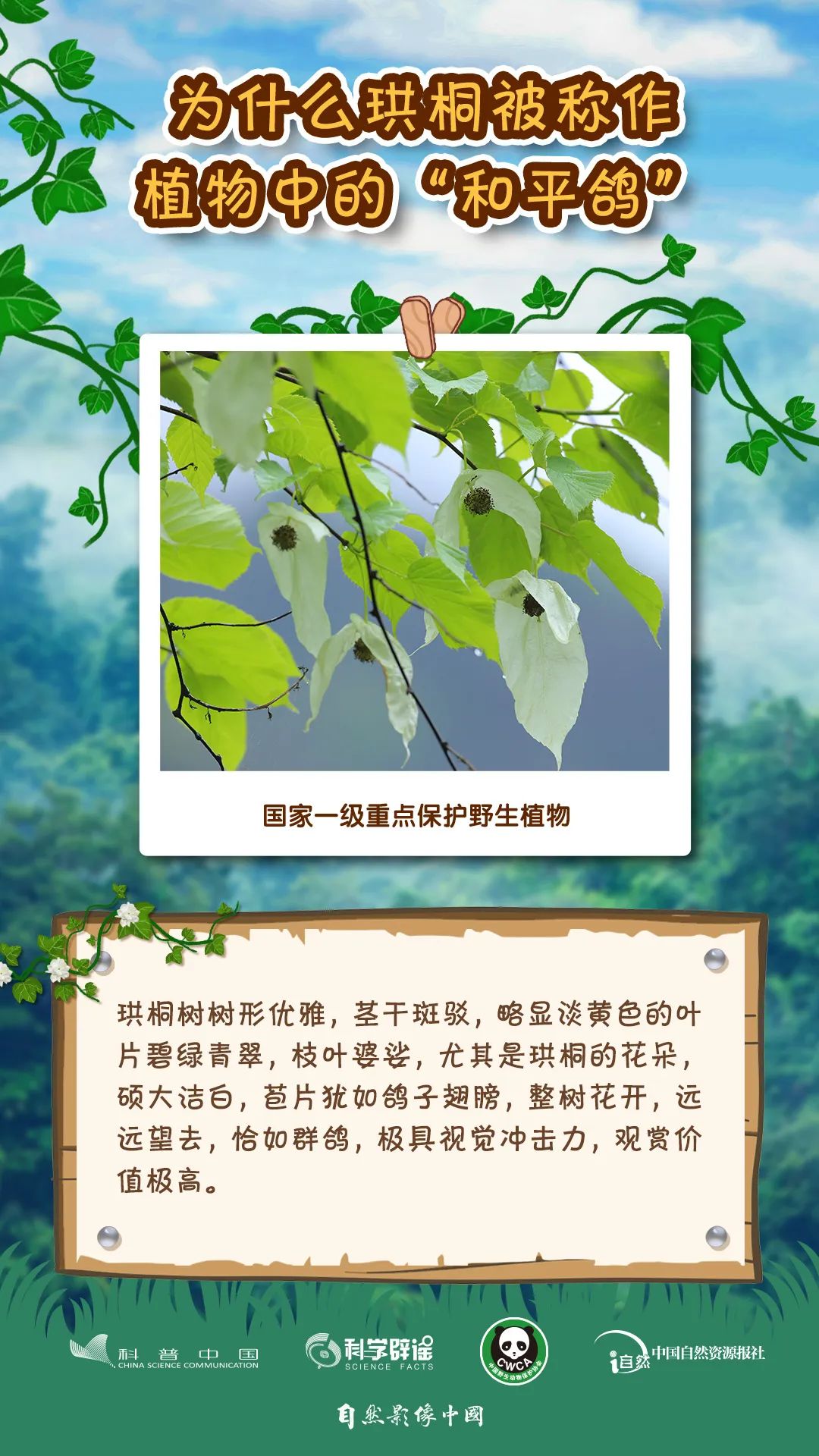 ta们有很多的小秘密,你知道多少?丨世界野生动植物日