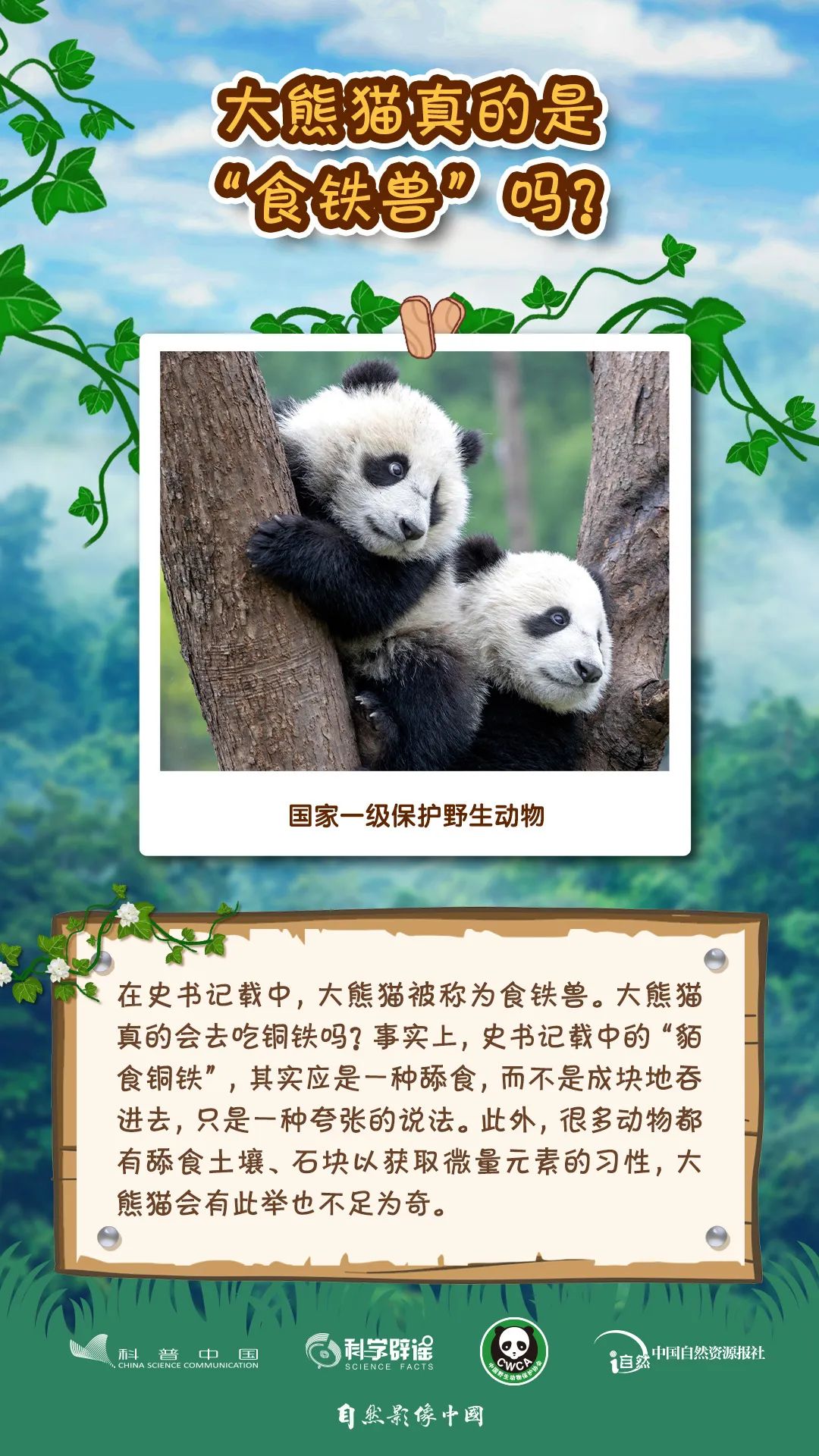 ta们有很多的小秘密,你知道多少?丨世界野生动植物日