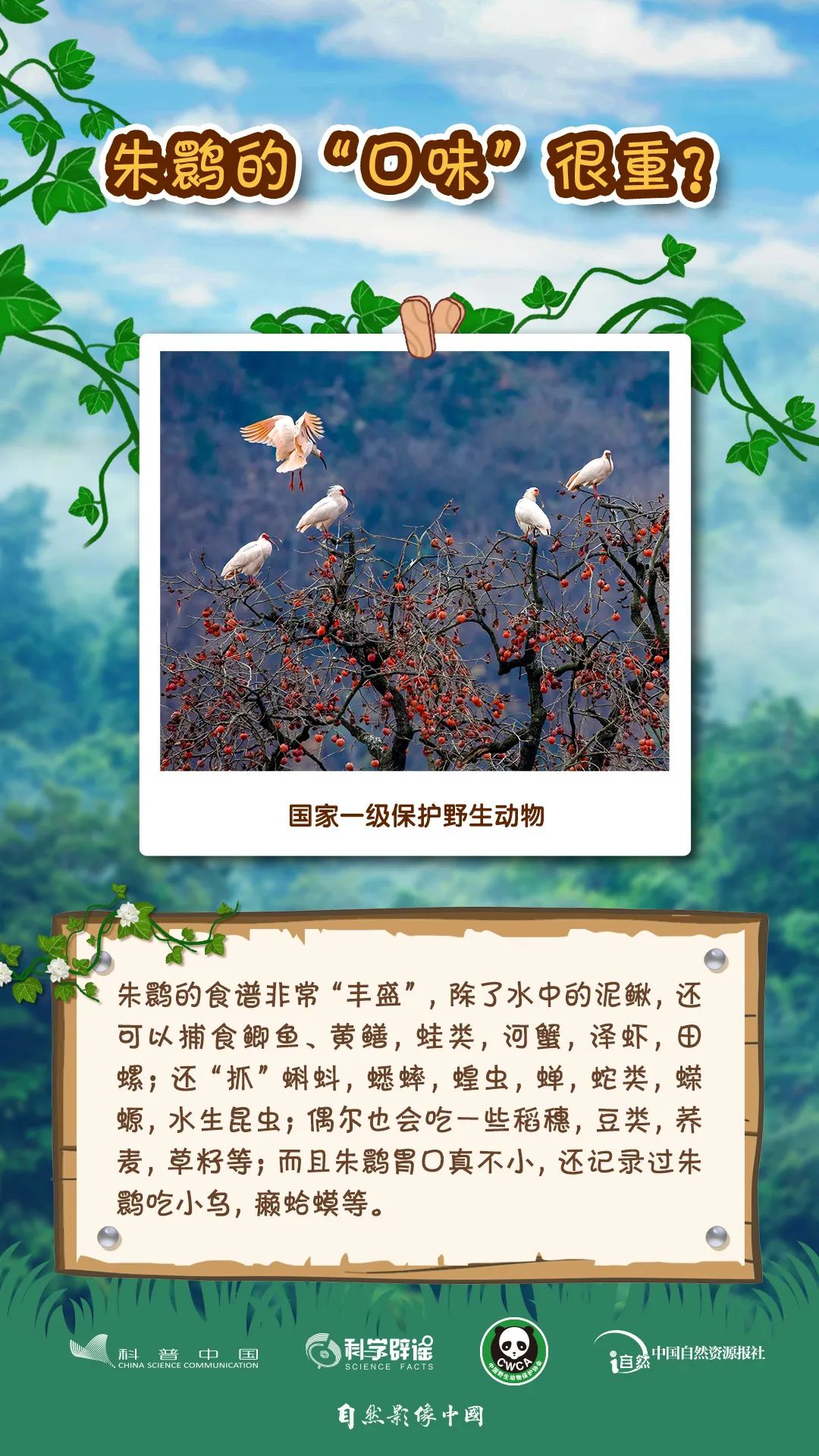 ta们有很多的小秘密,你知道多少?丨世界野生动植物日