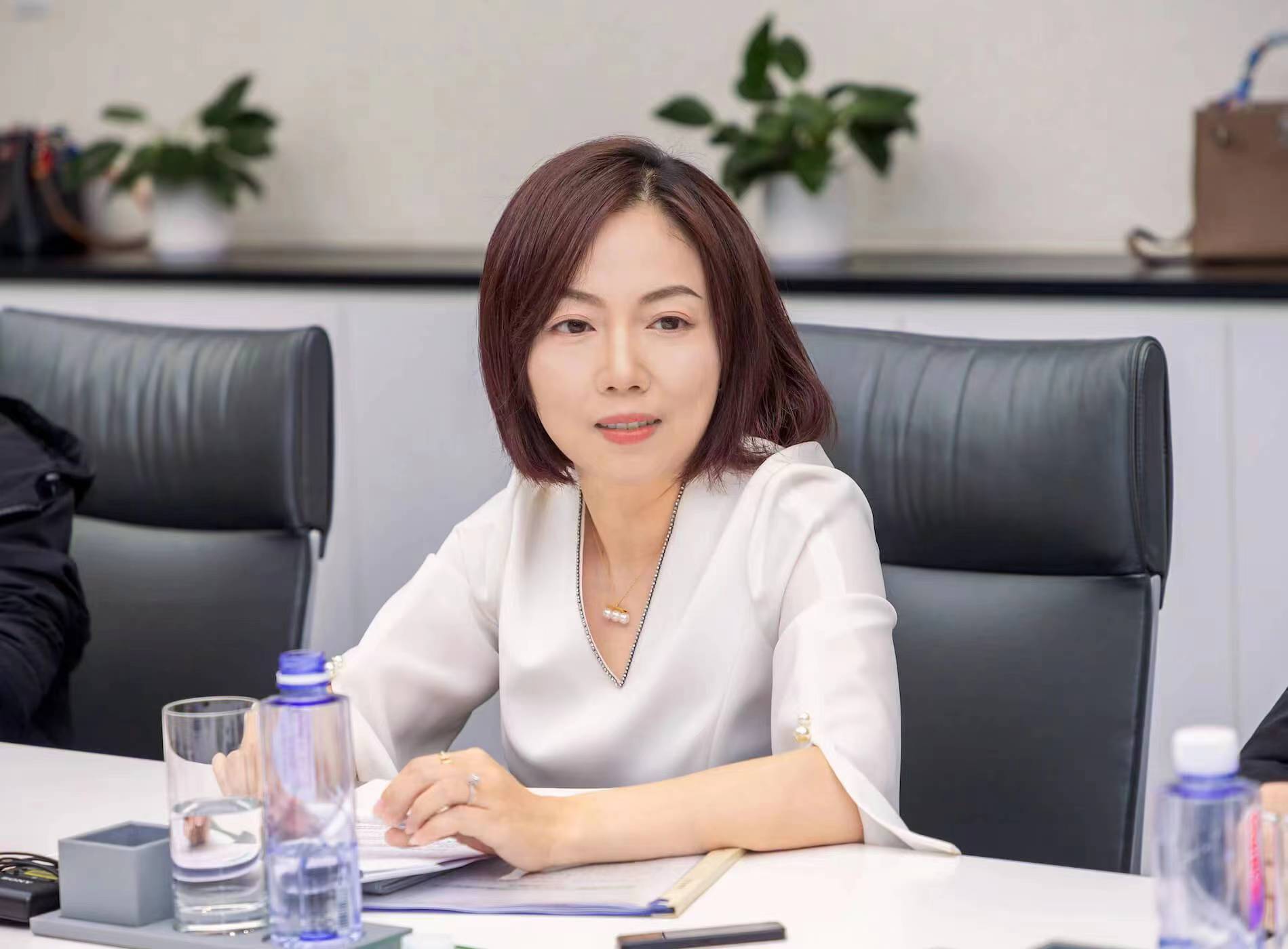 专访全国人大代表,美的副总裁钟铮:建议实现锂国家指导价,开发储能万