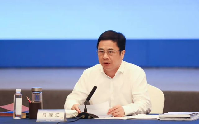 区委书记,武汉长江新城党工委副书记,管委会主任兼江岸区委书记等职