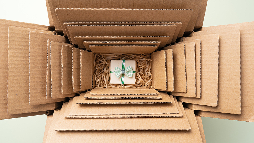 黄世忠代表建议制定法律杜绝过度包装减少环境污染