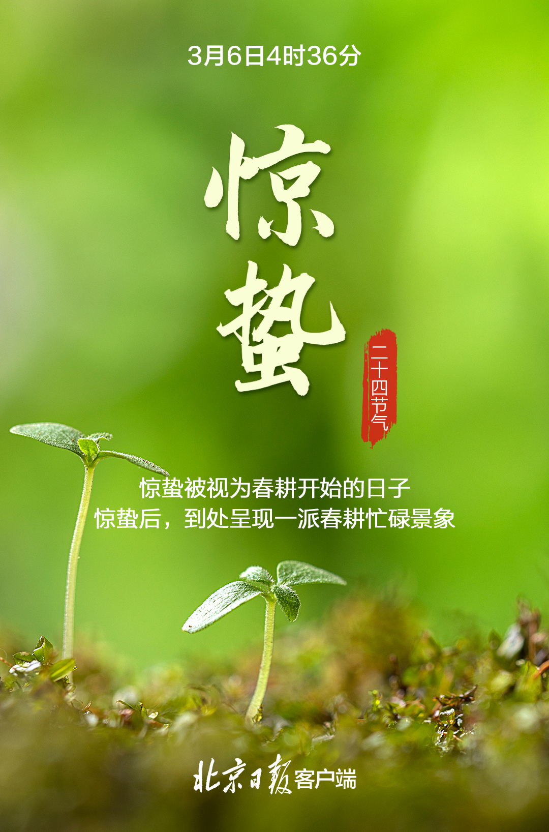 今日惊蛰!仲春开始,春回大地,万物复苏|春雷_新浪财经_新浪网