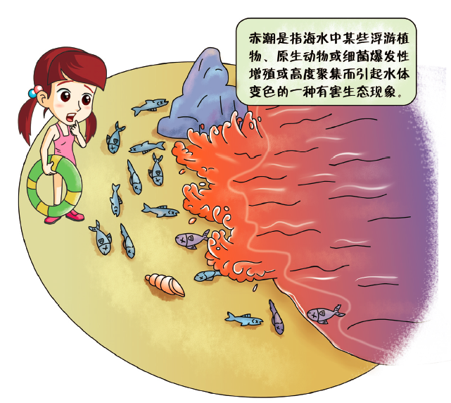 水知识 | 水华,赤潮,水体富营养化有什么区别?